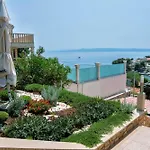 Oasis *