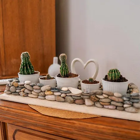 Apartament Oasis