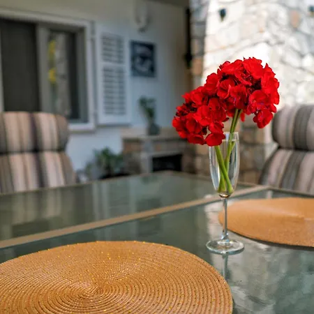 Apartament Oasis