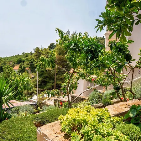 Apartament Oasis Selca (Brac)